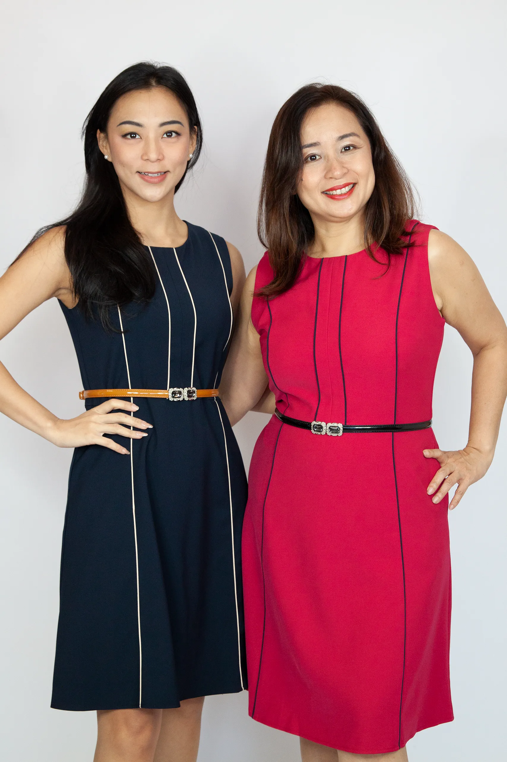Classy Bold Line Dress