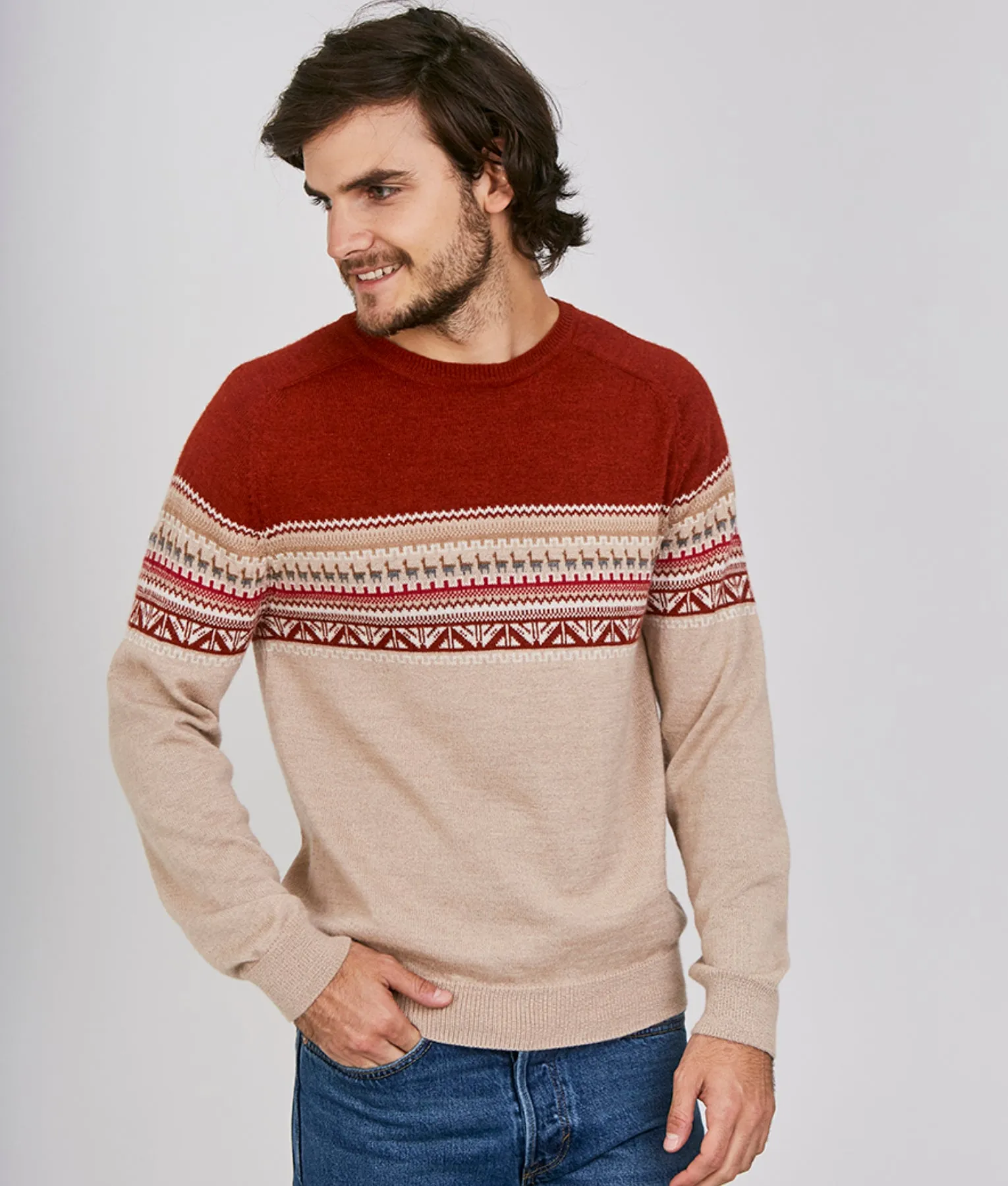 Raglan Pullover