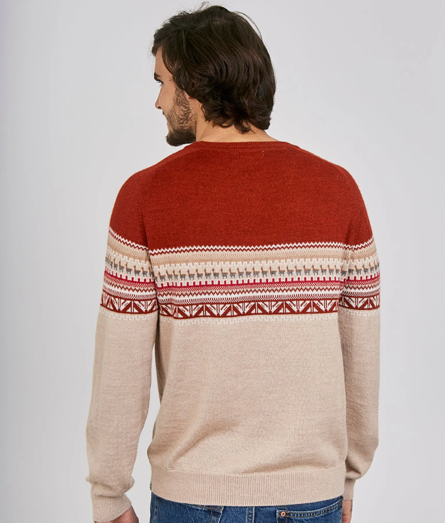 Raglan Pullover