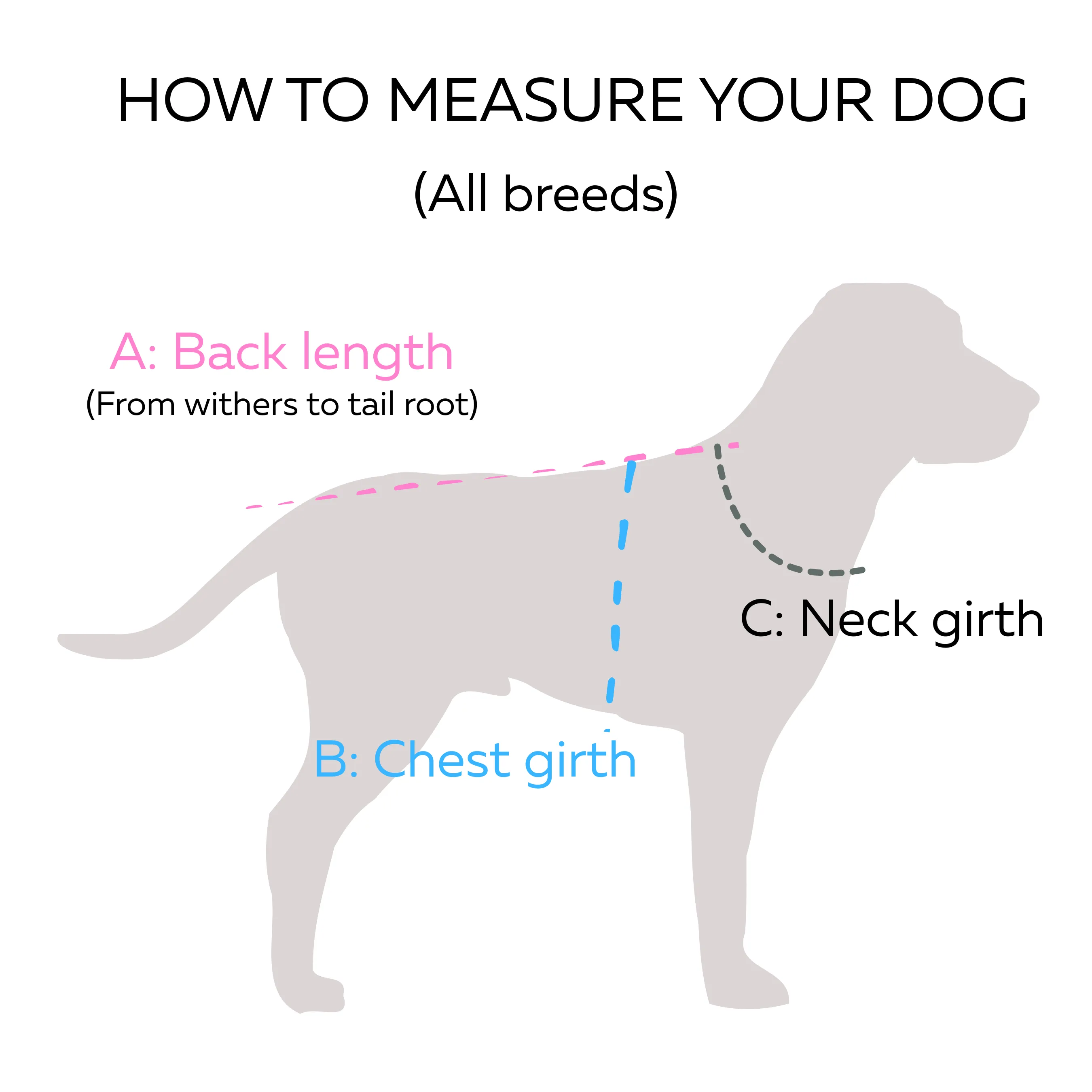 Turtleneck Dog Coat | Dreamer