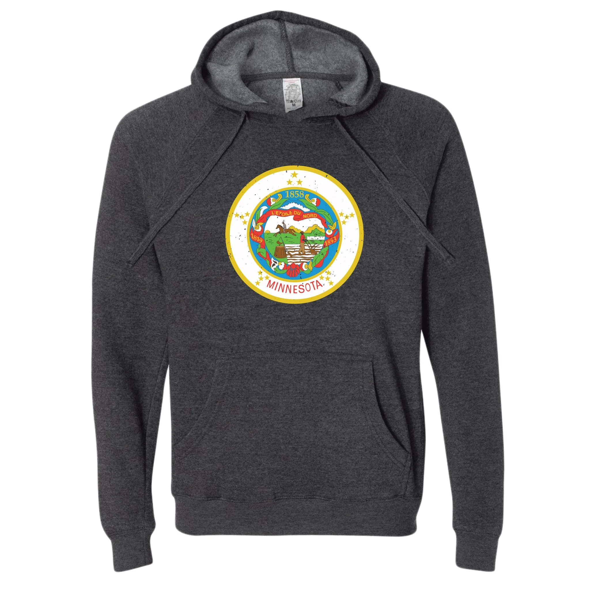 Vintage Minnesota State Flag Hoodie