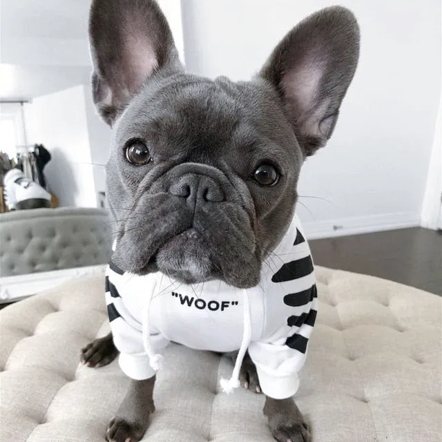 Woof Wear Drawstring Frenchie Hoodie